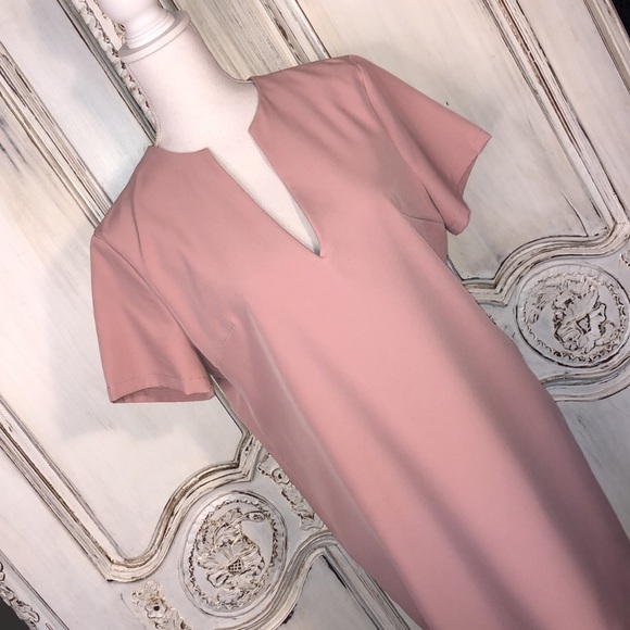 AEL Amy Enjoy Life Minimalist Short Sleeved Deep V Neck Full Cut Sheath Dress - Picture 2 of 9